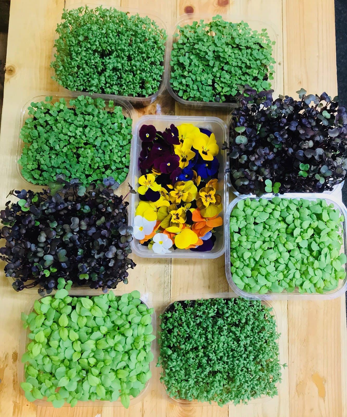 A festive box of assorted microgreen varieties and edible flowers